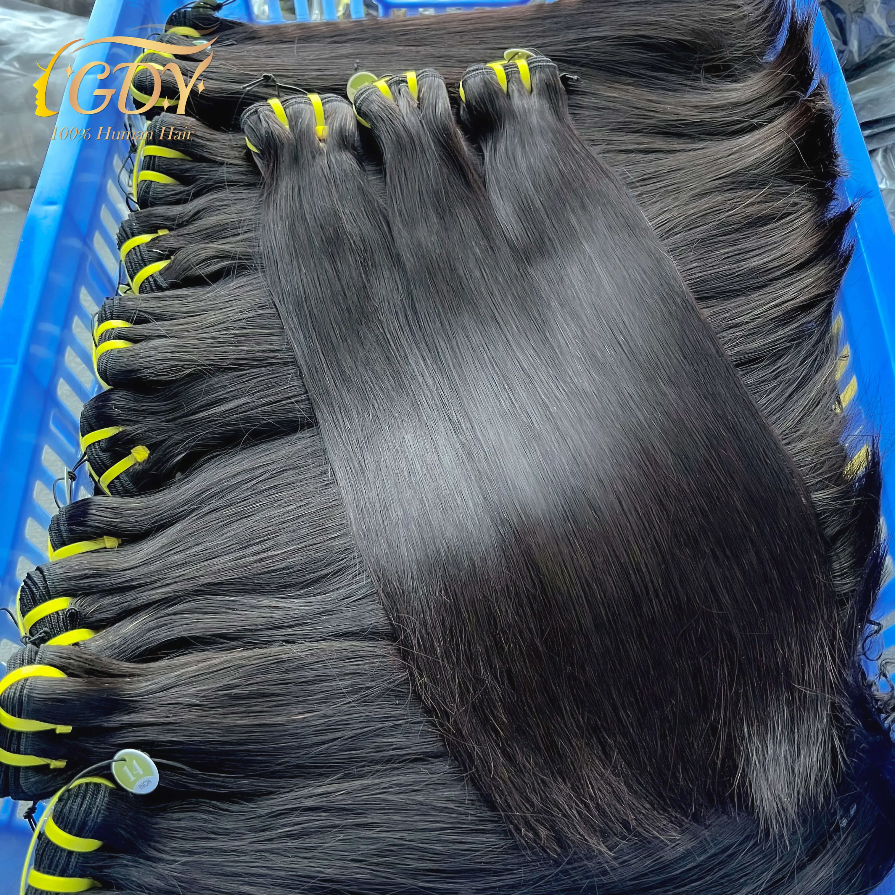 GDYhair Free Sample Raw Mink Virgin Brazilian Hair Bundles,Raw Brazilian Virgin Cuticle Aligned Human Hair Bundle