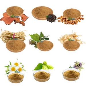 Giá số lượng lớn <span class=keywords><strong>bupleurum</strong></span> falcatum chiết xuất thực vật <span class=keywords><strong>bupleurum</strong></span> <span class=keywords><strong>Sinensis</strong></span> chiết xuất từ rễ bột - Product Image 3