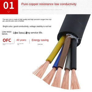 Nationaler Standard Reines Kupfer JHS Wasserdichtes Kabel 1 Meter 2-adrig 3-adrig 4-adrig 1/2,5/4/6 Quadrat Unterwasser-Pumpenkabel Stromkabel - Product Image 2