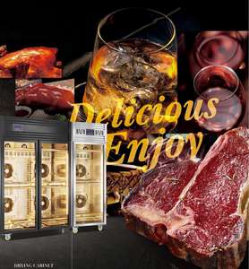 Réfrigérateur à viande vieillie à sec de 540 L, équipement de <span class=keywords><strong>restaurant</strong></span> gastronomique, porte en verre, réfrigérateur à viande vieillie à sec - Product Image 4