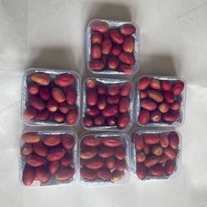Suplementos Now, Precio al por Mayor, Fruta Milagrosa Liofilizada, Caja de Fruta Milagrosa - Product Image 6
