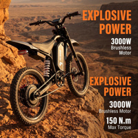   Bici Elettrica da Fuoristrada Omologata 3000W, 75km/h Alta Velocità, Sospensioni ADT FL, Avvio Intelligente NFC, EMTB