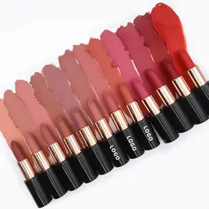 OCHAIN Wholesale 24 Colors Matte Waterproof Lipstick High Pigment Matte Vegan Lipstick