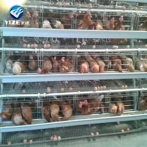 Gaiola automática de galinhas, gaiolas de bateria de galinha/malha de fio galvanizado, material de fio galvanizado e gaiolas de uso de galinha