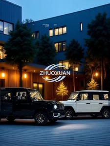 โรงงานผลิตรถยนต์ไฟฟ้าสำหรับผู้ใหญ่ความเร็วต่ำ ราคาขายส่ง รับน้ำหนักได้มาก รถยนต์ EV สำหรับการเดินทาง - Product Image 3