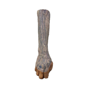 Modelo de enseñanza de impresión 3D Impresión 3D de <span class=keywords><strong>ganglios</strong></span> <span class=keywords><strong>linfáticos</strong></span> de extremidades superiores y vasos <span class=keywords><strong>linfáticos</strong></span> Modelo de estructuras anatómicas - Product Image 1