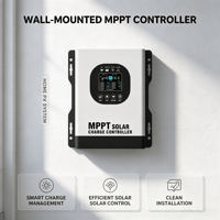 Contrôleur de charge solaire MPPT 40A 48V avec ventilateur intelligent, écran LCD, limitation de courant et fonction de temporisation pour station photovoltaïque commerciale