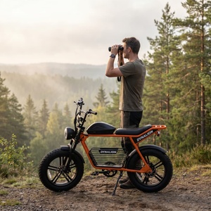 Vélo électrique à gros pneus orange vif avec phare vintage, vélo silencieux pour la randonnée en plein air et l'observation des oiseaux - Product Image 2