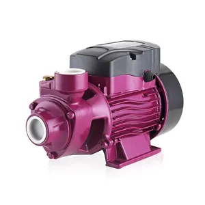 Household water pumps AC 220v mini self priming vortex pump