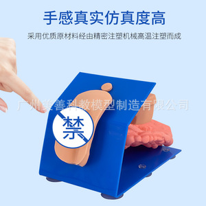 Modèle de cathétérisme masculin vêtu, modèle de cathétérisme simplifié, modèle d'anatomie reproductive masculine - Product Image 5