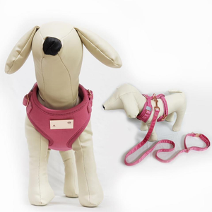 Ensemble de laisse et harnais pour chien en velours de luxe, réglable, collier et laisse doux pour chiens de petite et moyenne taille - Product Image 3