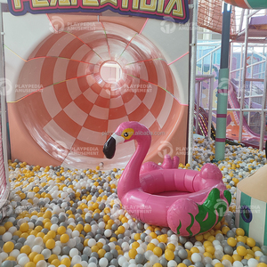 Équipement de terrain de jeux intérieur pour enfants, toboggan double en plastique, château gonflable coloré, centre de divertissement commercial - Product Image 5