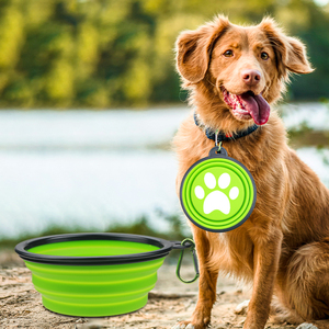 Nouveauté : bol à eau pliable pour chien et animal de compagnie, écologique et en silicone - Product Image 1