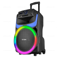 CSN-801 Haut-parleur portable de 10 pouces en forme de corne avec éclairage latéral RGB et son de qualité – Modèle exclusif