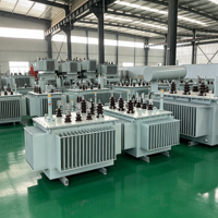 Transformateur de distribution immergé dans l'huile S13-M, à faible consommation d'énergie et faibles pertes, triphasé 11kV 33kV 100kVA-1600kVA IEC 60076