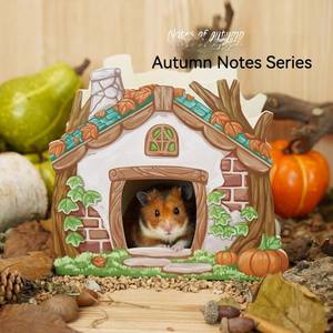 Peau de <span class=keywords><strong>hamster</strong></span> personnalisable, écologique, en bois massif, sans odeur et polyvalente - Product Image 5