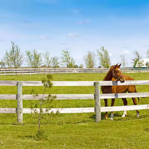 PVC Vinyl ngựa hàng rào bài viết 6 chân ngoài trời Vườn an ninh thân thiện với môi trắng không leo lên 3D chu vi hàng rào - Product Image 3