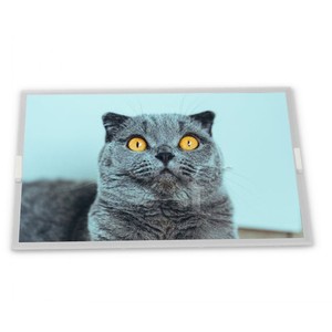 Módulos de pantalla LCD TFT 23,8, pantalla industrial TN personalizada con retroiluminación LED, proveedor de oro, Gama Completa, 1 unidad - Product Image 1