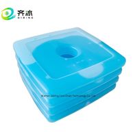 Mini glacières en plastique pour pique-nique, briques de gel réfrigérantes