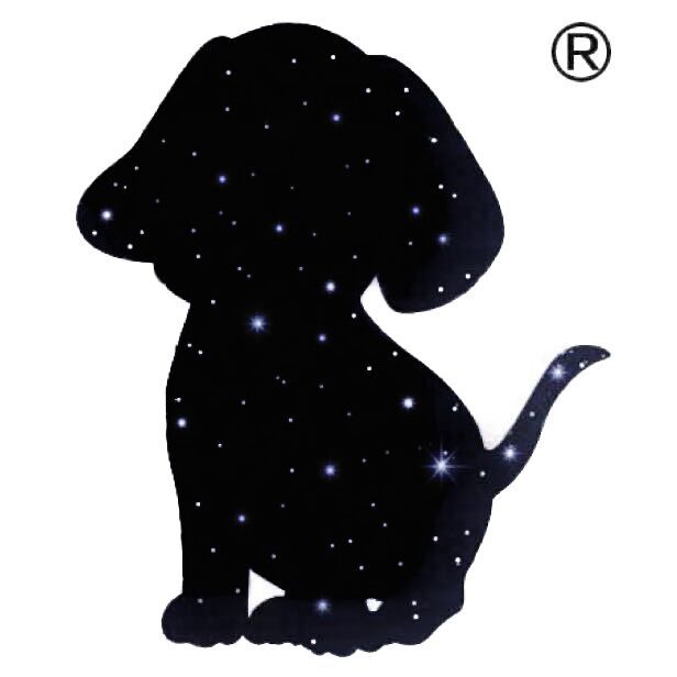 Qingdao Yilu Gaoge Clothing Co., Ltd. logo