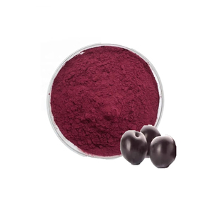 Bột acai Brazil, siêu thực phẩm, nhà vô địch anthocyanin với sức mạnh siêu chống oxy hóa - Product Image 1