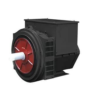 Borstelloze Dynamo 200kva Met Avr