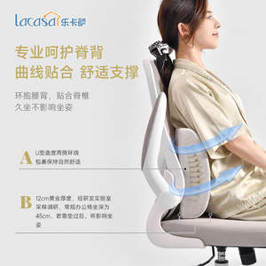 Coussin de soutien lombaire Lacasa en mousse à mémoire de forme, oreiller de dossier oblong, lavable en machine, couleur unie, pour le bureau, la voiture, la maternité - Product Image 2