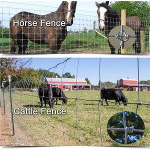 Mạ kẽm dệt dây dê hàng rào với dây điện - Product Image 2
