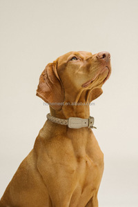 Collar y correa de perro mascota de cuero suave trenzado personalizado correa de perro de cuero nobuk ajustable de 2M con <span class=keywords><strong>2</strong></span> ganchos para todas las razas - Product Image 6