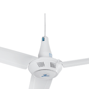 Ventilador <span class=keywords><strong>de</strong></span> <span class=keywords><strong>Techo</strong></span> Pequeño <span class=keywords><strong>de</strong></span> 3 Aspas <span class=keywords><strong>de</strong></span> 36 Pulgadas, Gran Oferta 2025, <span class=keywords><strong>Precio</strong></span> Económico - Product Image 4