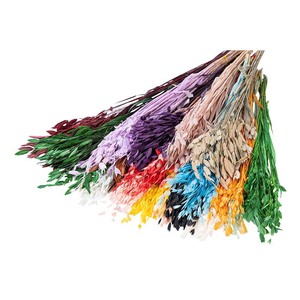 Petites Branches d'Herbe Bleue Séchées et Préservées, Feuilles Fraîches Naturelles pour la Décoration <span class=keywords><strong>de</strong></span> la Maison, du Bureau, des Mariages et des Festivals - Product Image 4