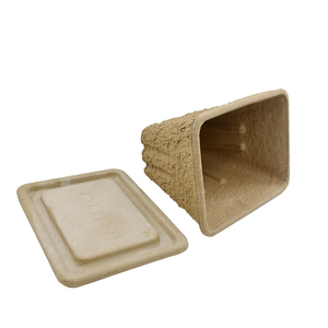 Manufacturer hot Sale Good Price Water-proof Molded Pulp Box Fruit Packaging Dry Fruits Vegetables Tray Box