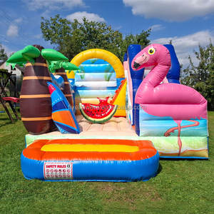 Alquiler de Flamingos Inflables, Compra de Castillo Inflable para Exteriores con Tobogán, Castillo Inflable para Zoológico - Product Image 1