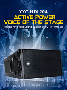 HDl20a 2 cách cổ điển 10 inch hoạt động dòng mảng Hệ thống loa - Product Image 2