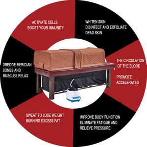 Traditionelle Chinesische Medizin Physiotherapie Dampfbett Physikalische Schwitz-Dampfbehandlung zur Krankheitsvorbeugung - Product Image 3
