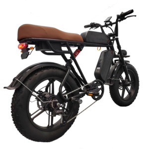 Vélo de montagne électrique rétro à moteur arrière sans balais, pneus larges de 20 pouces, pour terrain neigeux, batterie au lithium 48V 10Ah/15Ah, étanche - Product Image 6