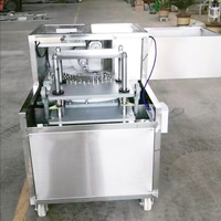 Droge Pruim Rode Data Fruit Pitting Core Remover Verwijderen Machine Voor Verkoop