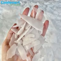 Machine à glaçons en flocons Coldsmart 2 tonnes par jour, en acier inoxydable de qualité alimentaire, pour la présentation en supermarché