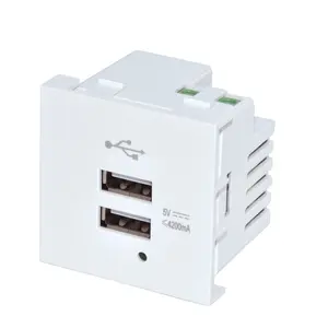 Hot sale NEPCI Euro 45x45mm USB charging module XJY-USB-17E-3-A/A dual ports USB power socket outlet 5V/4.2A CE