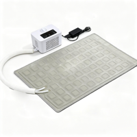 Consumer Electronics Cooling Pad Heating Eco-friendly PVC Material Multi-speed Adjustment Winter/Summer Use