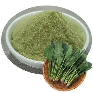 Hot Sale Spinach Extract Powder Spinach Powder Spinach Extract