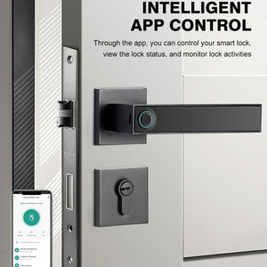 फैशनेबल सुरक्षित फिंगरप्रिंट कीलेस स्मार्ट मुख्य दरवाजा हैंडल फिंगरप्रिंट अनलॉक के साथ सेट - Product Image 2