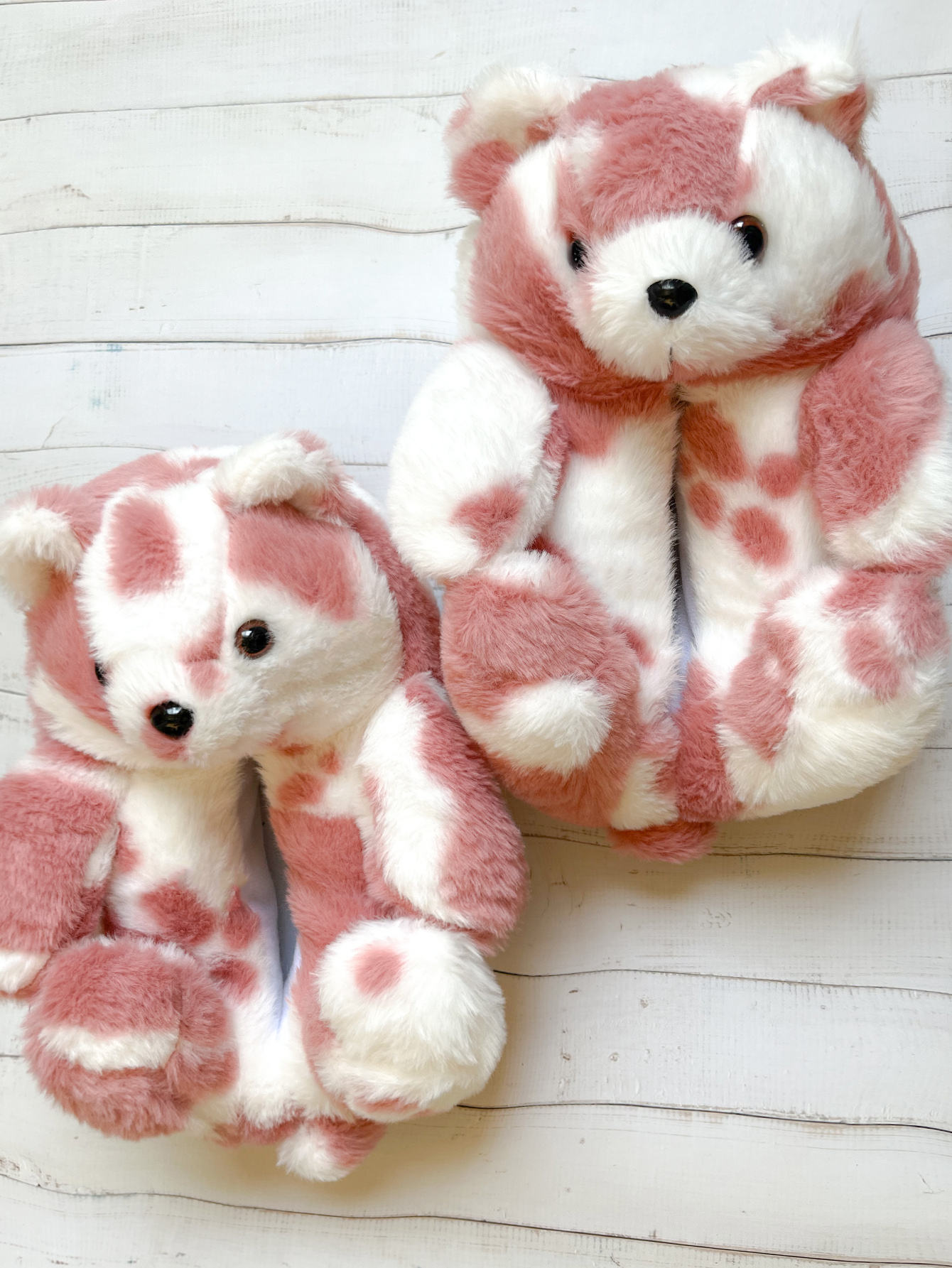 Mucca-rosa con il bianco