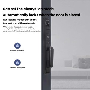 <span class=keywords><strong>Serrure</strong></span> de <span class=keywords><strong>porte</strong></span> intelligente en aluminium noir à pont thermique brisé, étanche, avec application TUYA TTlock, empreinte digitale et mot de passe, pour <span class=keywords><strong>porte</strong></span> <span class=keywords><strong>coulissante</strong></span> en verre - Product Image 4