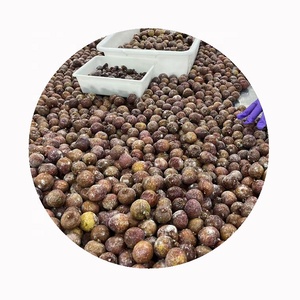 IQF Organic Litchi <strong>Fruit</strong> Pulp Peeled And Frozen Lychee In Bulk Whole And Sliced Pattern Quality Product At Competitive Price