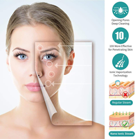 Vaporisateur facial mural professionnel pour salon, ozone, vapeur chaude, soin de la peau, équipement de beauté spa
