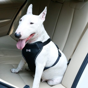 2024 Premium personalizado coche perro cinturón de seguridad arnés conjunto gran oferta seguridad mascota arnés correa para perros - Product Image 3