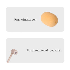 Auriculares de color de piel con forma de corazón apuntando con doble gancho para la oreja auriculares puesta en escena abeja auriculares micrófono - Product Image 5