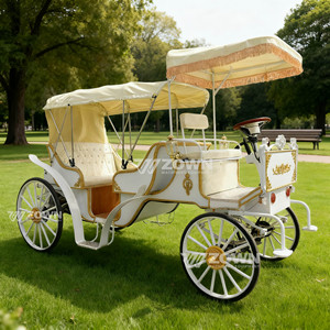 Carruajes de Caballos Estilo Boda para Recorridos Turísticos en Parques, Vehículo de Ruedas Tirado por Caballos, Carro Retro en Venta - Product Image 3