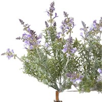 Arrangements floraux de mariage, fleurs artificielles de lavande à 7 branches, accessoires de photographie en extérieur, décorations douces, fleurs de construction